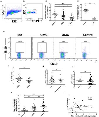 Regulatory B Cells Are Decreased and Functionally Impaired in Myasthenia Gravis Patients